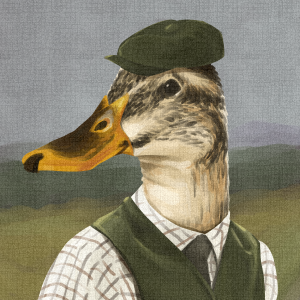 ILUSTRATIONS