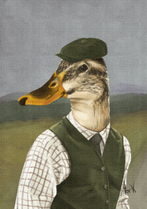 pato en hihglands  